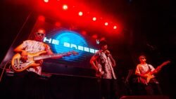 CỪU ĐEN TRỞ LẠI - VIet Indie Show