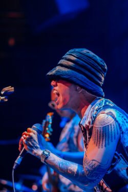 CỪU ĐEN TRỞ LẠI - VIet Indie Show